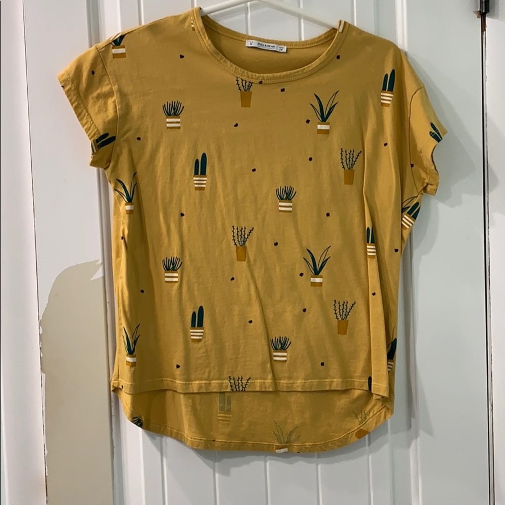 Plant top